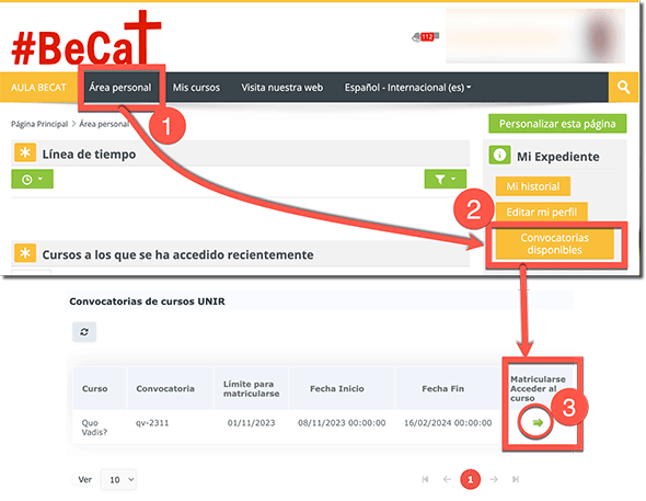 Opción de solicitar beca